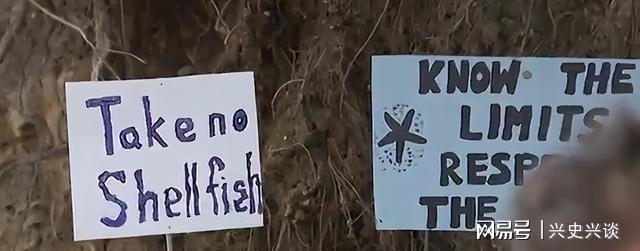 华体会体育官方-大规模抗议爆发, 针对华人! 本地人在海边用中文横幅抵制!